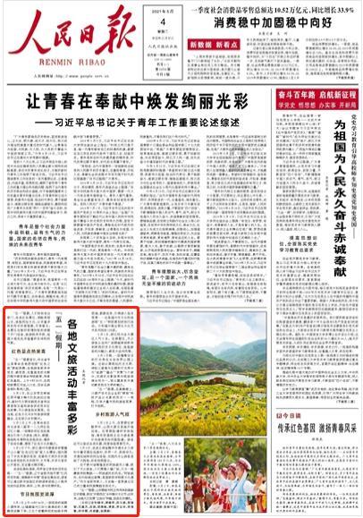 丛林之决战