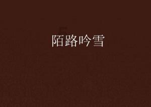 辽阳铝箔吨袋包装机