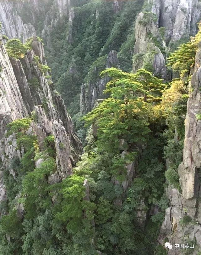网传机场工作人员占用母婴室吃饭,机场回应:涉事人员已被辞退